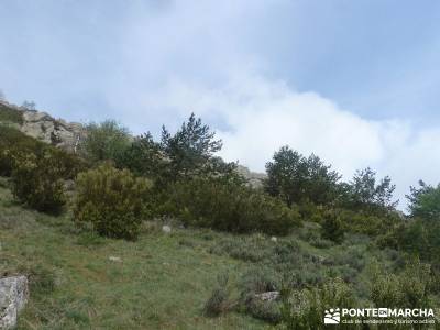 La Tornera ; Pico Porrejón – Sierra de la Puebla; senderismo en madrid rutas excursiones senderis